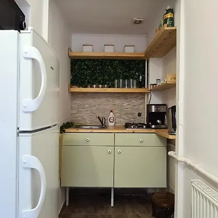 Zeiss House ブラショフ